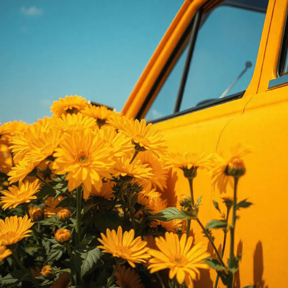 Indian Sunset Car Scent