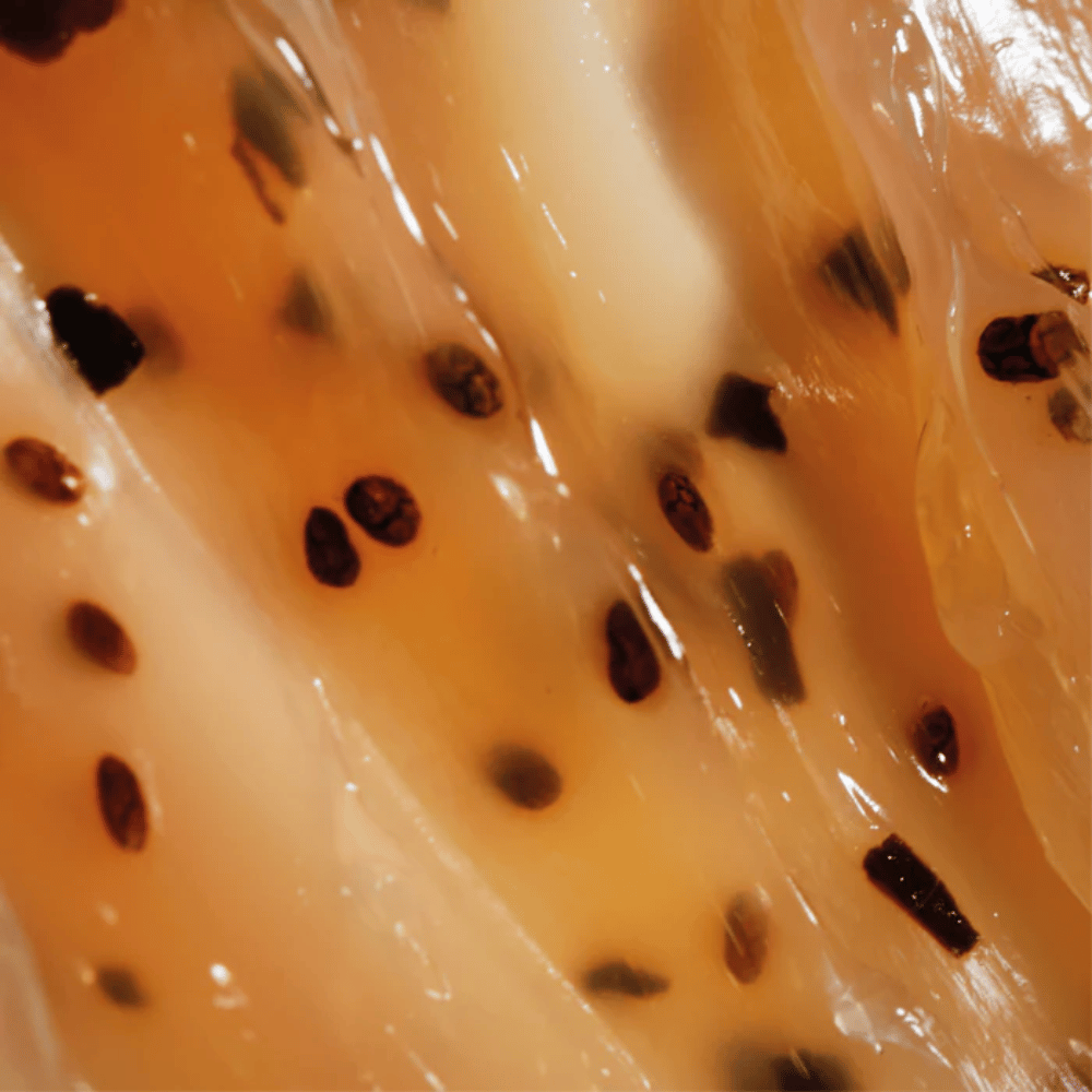 Jolly Feet Nourishing Foot Mask - 30ml